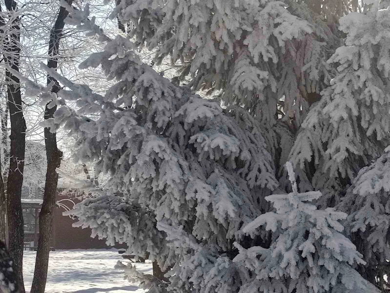 Göle’de hava eksi 27,7 derece: Araçlar soğuktan çalışmadı
