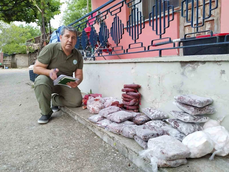 Antalya’da yasa dışı avlanan 48 kilo yaban keçisi ve kızıl geyik eti buzdolabında bulundu
