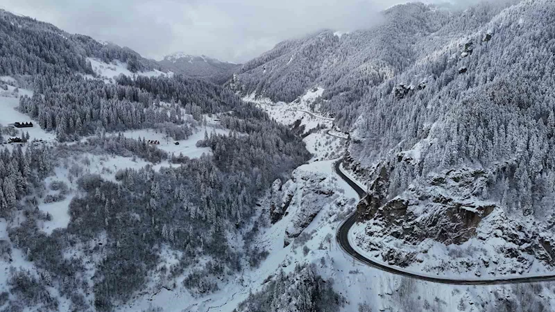 Zigana Dağı’ndan kar manzaraları
