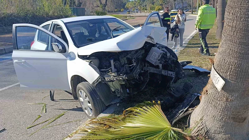 Kontrolden çıkıp palmiye ağacına çarptı, otomobilin plakası ağaca yapıştı
