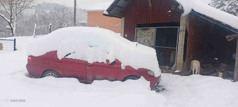 900 rakımlı kar altındaki köyde yaşama mücadelesi
