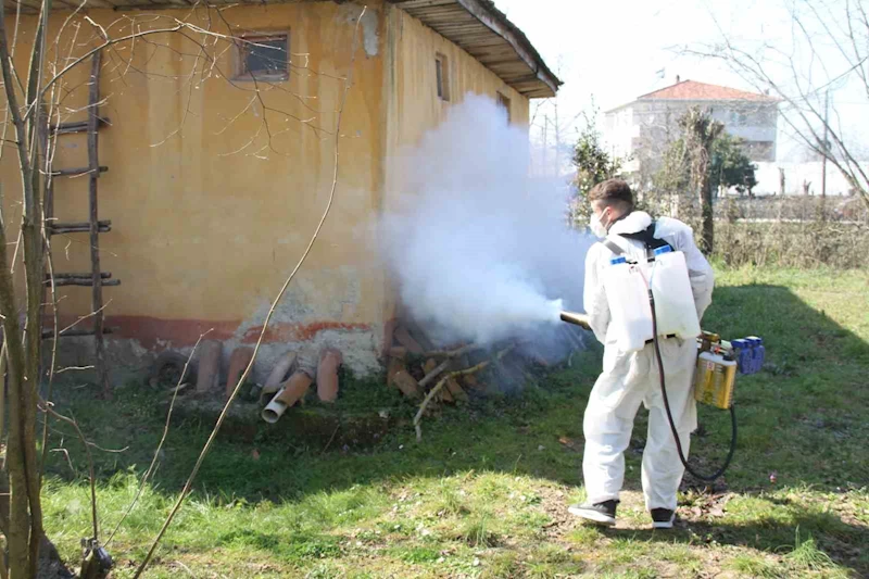 Çarşamba’da mahalleler ilaçlanıyor
