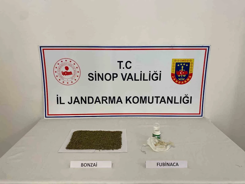 Sinop’ta uyuşturucu operasyonu :1 tutuklama
