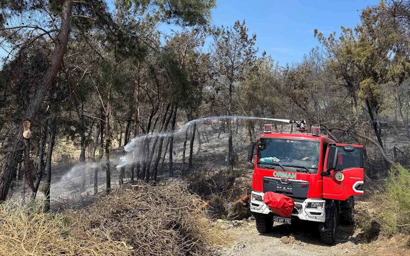 Mersin’de orman yangını: 1,5 hektar alan zarar gördü
