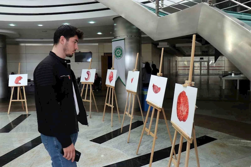 Organları sanat eserine dönüştürüyor
