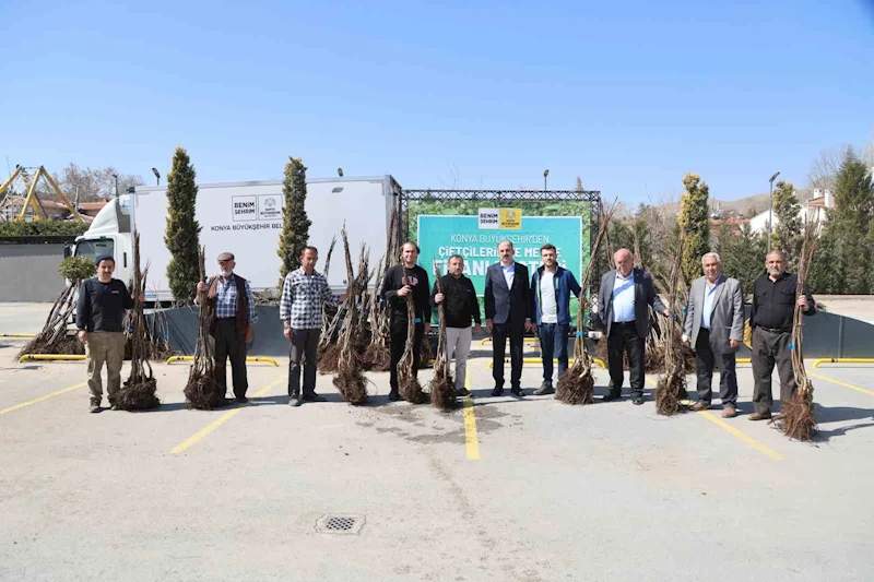 Konya Büyükşehir tarımsal kalkınma için bu sezon 72 bin meyve fidanı dağıtıyor
