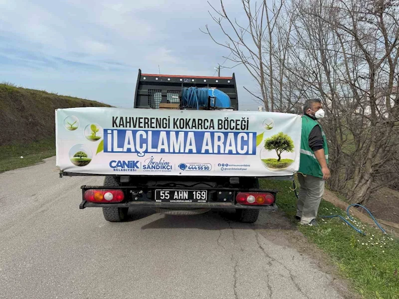 Tarımın düşmanı kokarcayla ilaçlı müdahale
