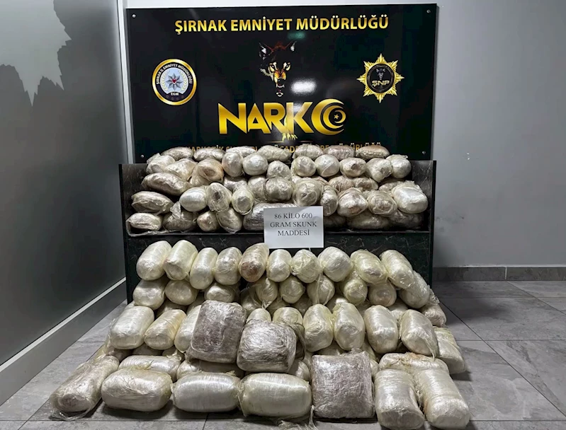 Şırnak’ta araçta 86,6 kilogram skunk ele geçirildi: 3 gözaltı
