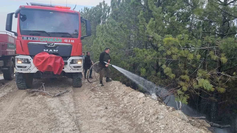 Aydın’daki orman yangını kontrol altına alındı
