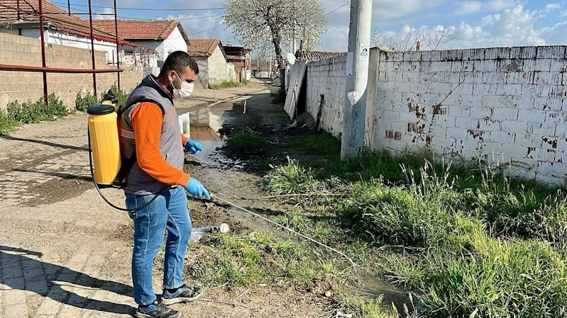 Germencik’te ilaçlama çalışmaları sürüyor
