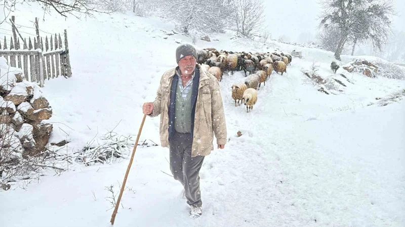 Hayvanlarını otlatmak için meraya çıkan çobanlara kar sürprizi
