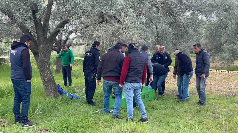 Zeytin bahçesinde cansız bedeni bulundu
