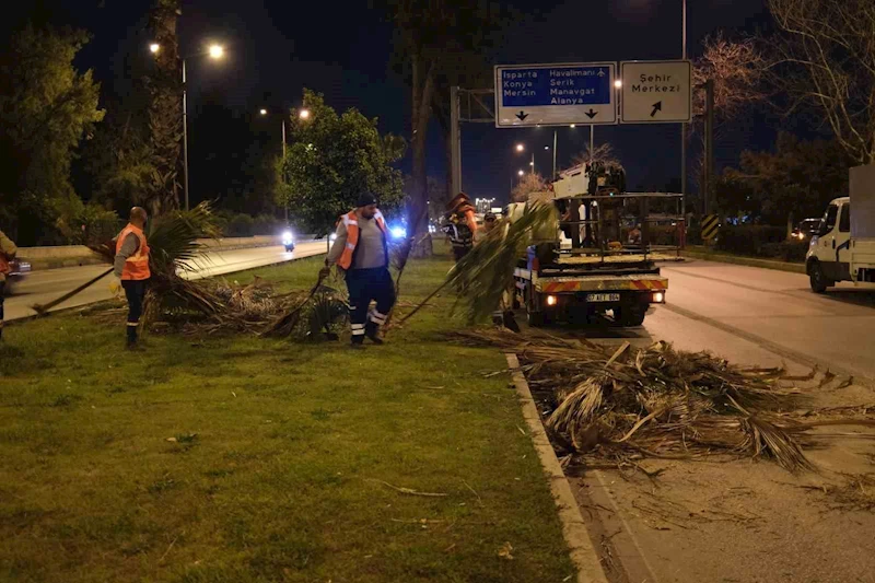 Büyükşehir’den gece budama çalışması
