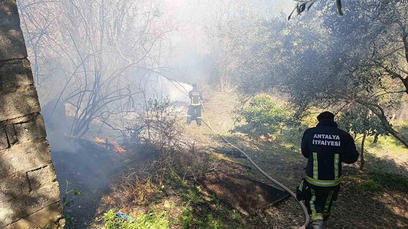 Yangın, Jandarma ve itfaiyenin müdahalesi söndürüldü
