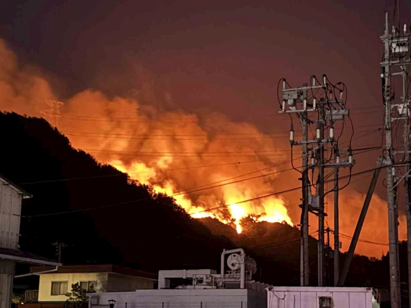 Japonya’da orman yangını alarmı: 2 eyalet alevlere teslim oldu
