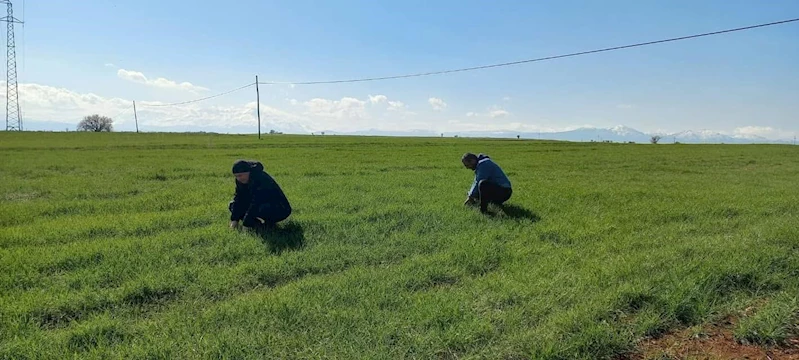 Beyşehir’de zirai don kontrolü yapıldı
