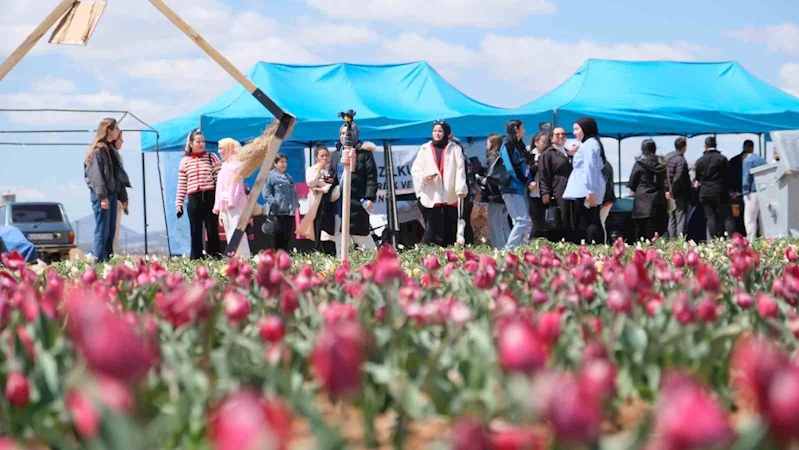 Karaman’da lale tarlasını bu yıl 200 bin kişinin ziyaret etmesi bekleniyor
