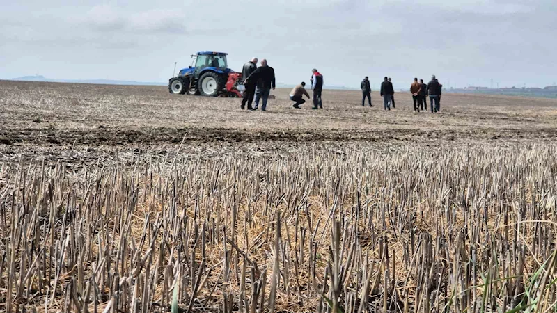 Tekirdağ’da anıza ekim dönemi: Anıza ekim Türkiye’ye örnek olacak
