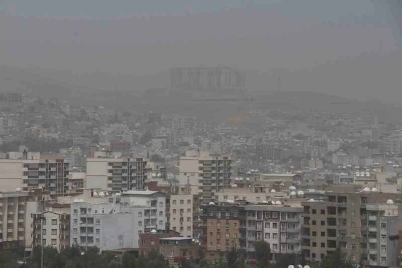 Cizre’de toz taşınımı hayatı olumsuz etkiledi
