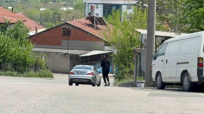 Duyarlı sürücü ve vatandaş, kaplumbağaları ezilmekten kurtardı

