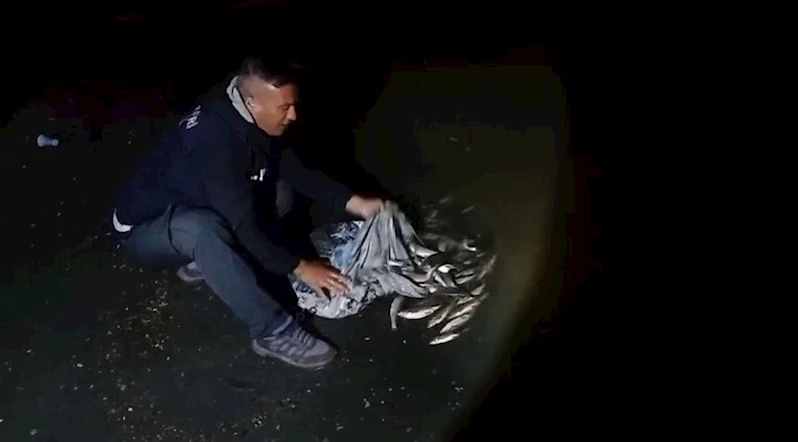 Van’da inci kefali göçü başladı: 60 kilo balığa el konuldu
