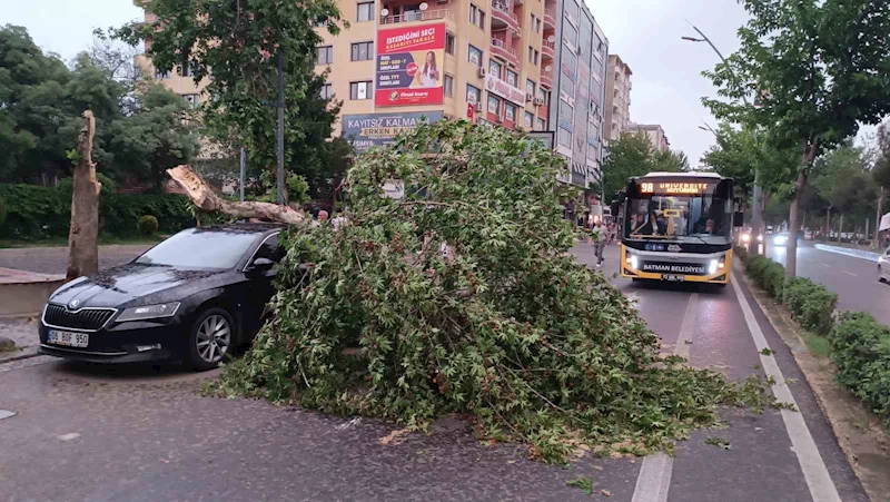 Batman’da şiddetli rüzgarın devirdiği ağaç park halindeki aracın üzerine düştü
