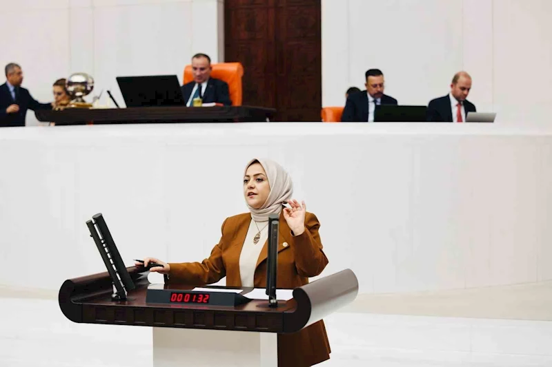 Milletvekili Ün; 