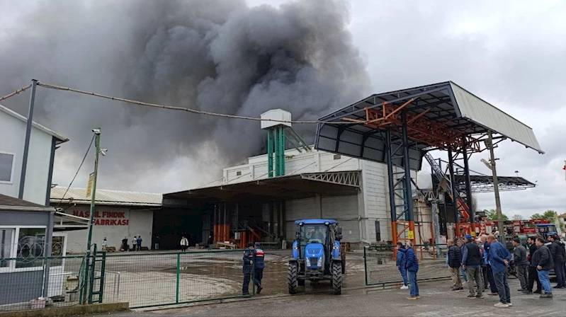 Sakarya’da fabrika yangını