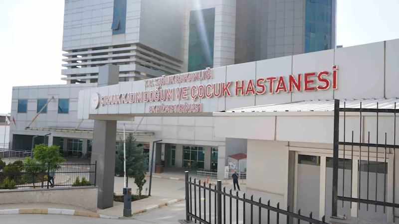 Şırnak’ın ebeleri anneliği anlattı
