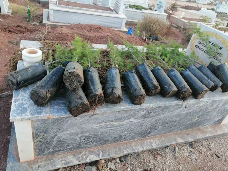 Anneler Günü’nde mezarlıkları yeşillendirdiler
