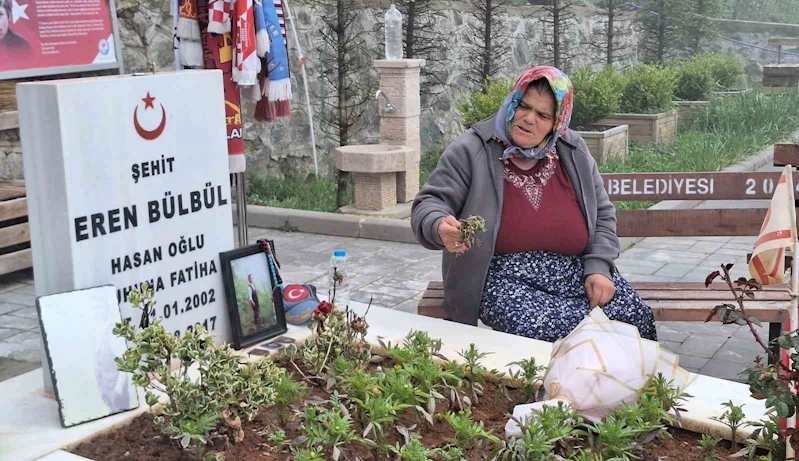 Eren Bülbül’ün annesi Ayşe Bülbül, PKK’nın silah bırakmasını değerlendirdi: 