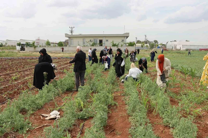 Şanlıurfa’da emekli kadınlara 