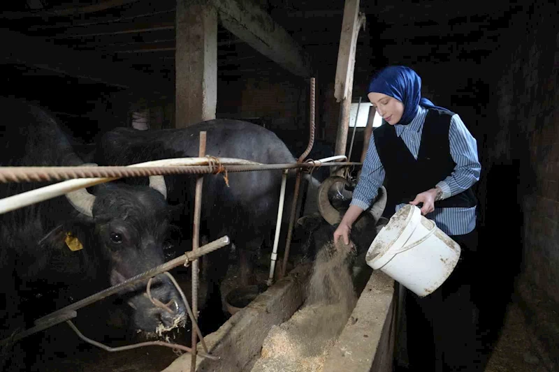 Ticari süt işletmelerince 1 milyon 15 bin 647 ton inek sütü toplandı
