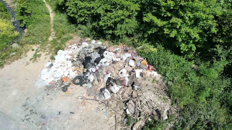 Döküm sahasına para ödememek için yeşil alanları katlediyorlar

