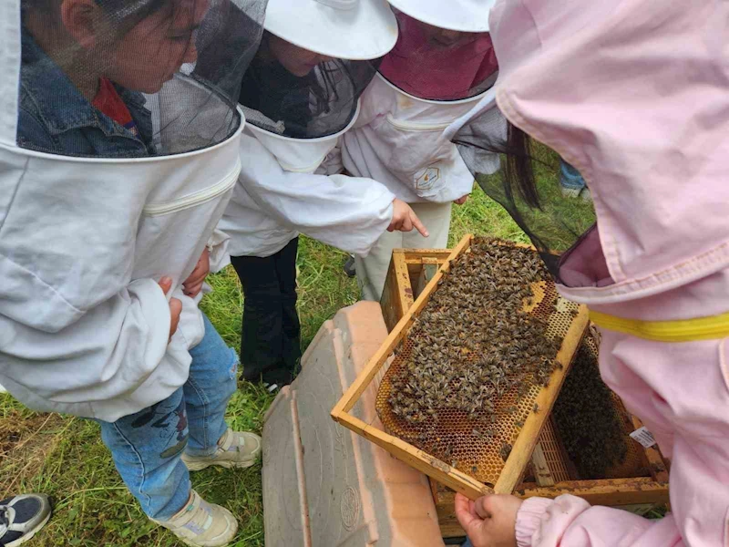 Minik öğrenciler arıların dünyasını keşfetti
