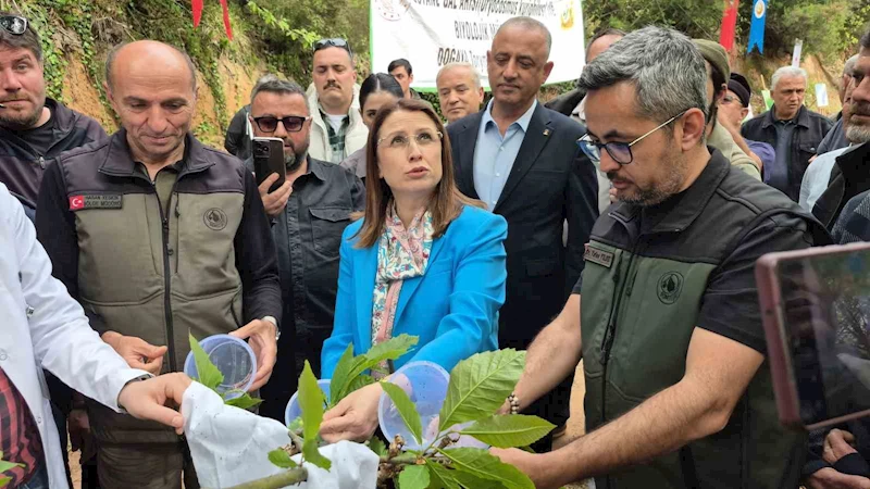 Karadeniz’de 