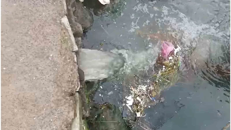 Marmara Denizi’nde kirliliğe neden olan Çınarcık Belediyesi’ne 1,3 milyon lira ceza
