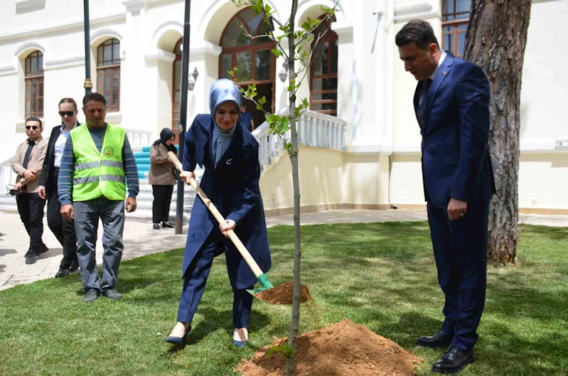 Bakan Mahinur Özdemir Göktaş, Bilecik’te adına hazırlanmış yere çınar fidanı dikerek can suyu verdi
