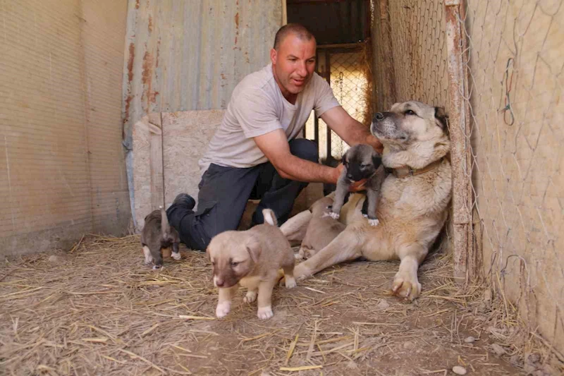 Uzmanı açıkladı: 