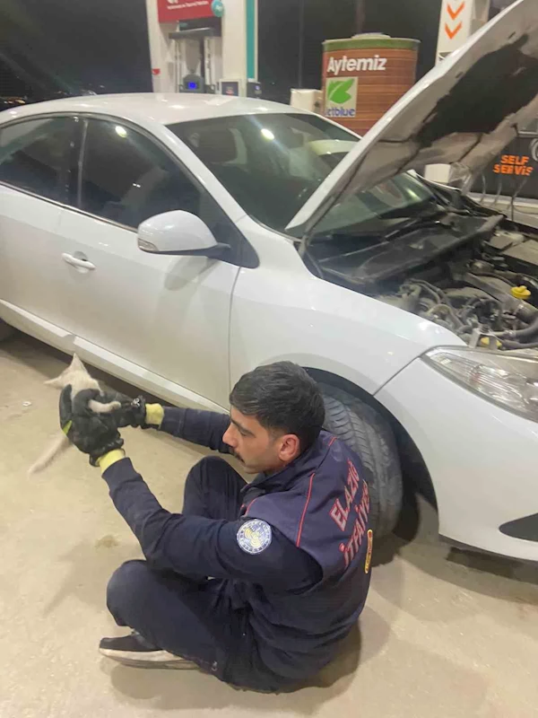 Elazığ’da aracın motor kısmına sıkışan kedi, itfaiye tarafından kurtarıldı

