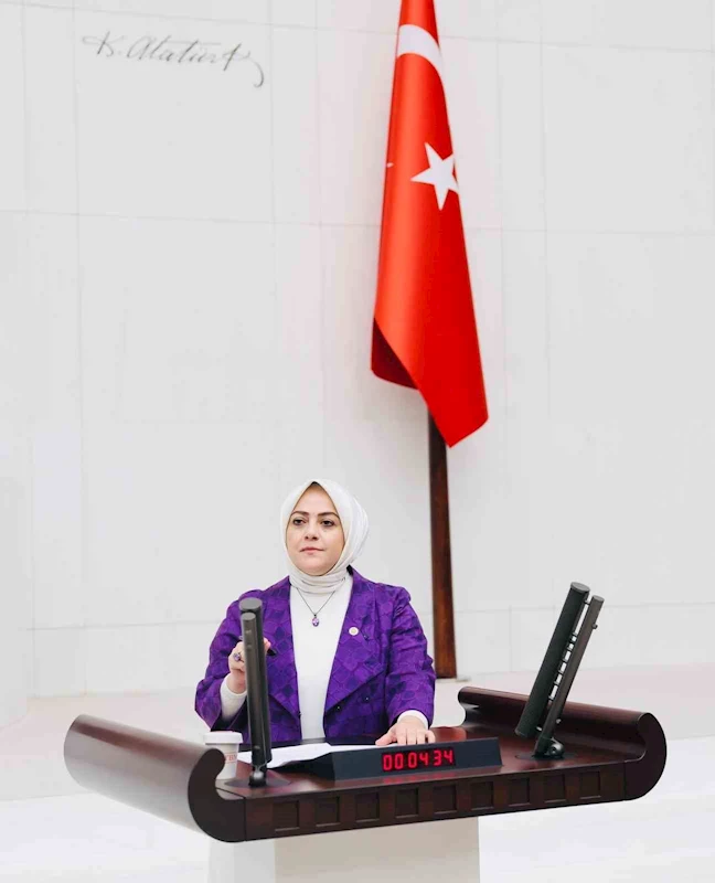 Milletvekili Ün: 