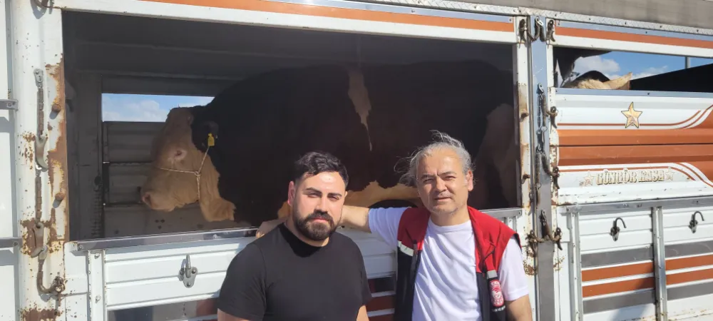 Türkiye Şampiyonu Poyraz, Kayseri