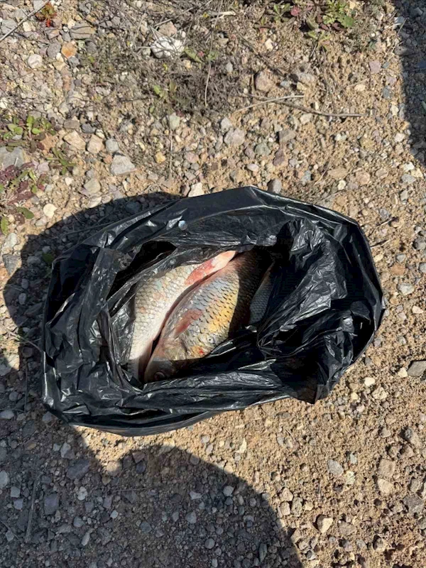 Kaçak Balık avı yapan 2 kişi yakalandı

