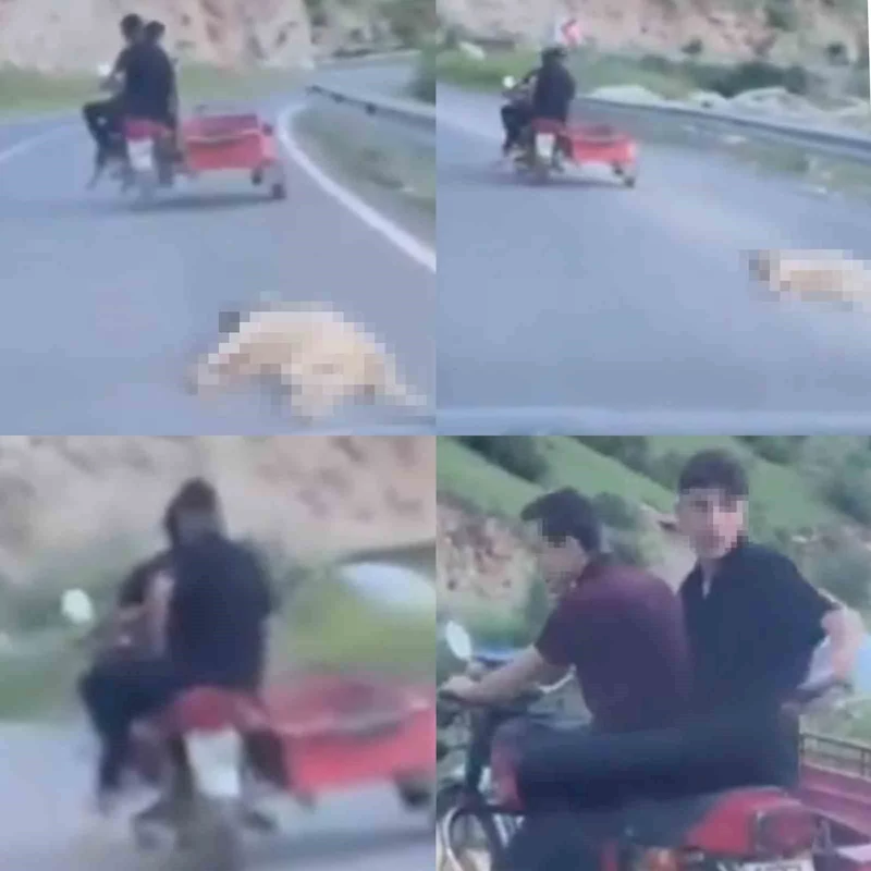 Telef olan köpeği sürükleyen şahsa 50 bin TL  ceza
