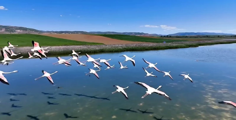 Jandarmadan Uyuz Gölünde kuş devriyesi
