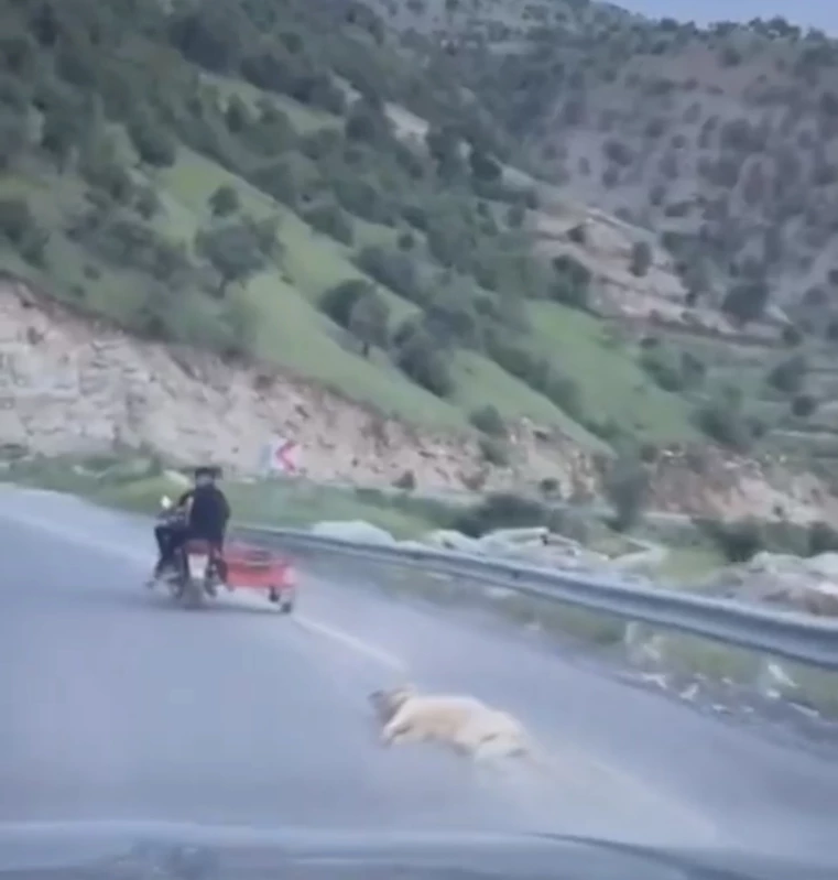 Telef olduğu iddia edilen köpeği motosikletle sürüklediler
