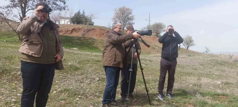 Elazığ’da güncel kuş yoğunluk haritası çalışmaları
