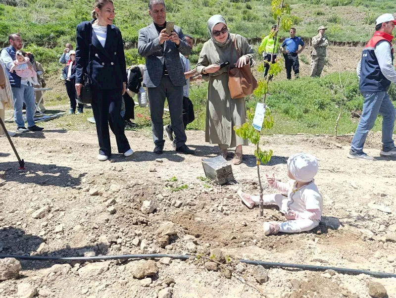 Yeni doğan bebekler hatıra ormanına ilk fidanlar dikildi
