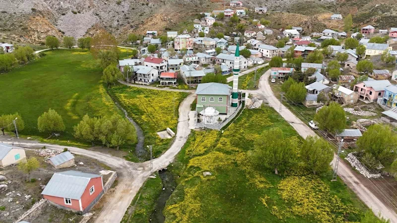 Orta Toroslardaki yaylalar görsel şölen sunuyor
