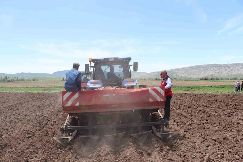 Sivas’ta tohumluk patatesler toprakla buluştu
